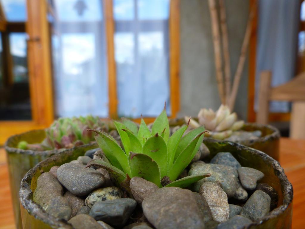 El Bolsón Earthship Patagonia Eco Accommodations المظهر الخارجي الصورة