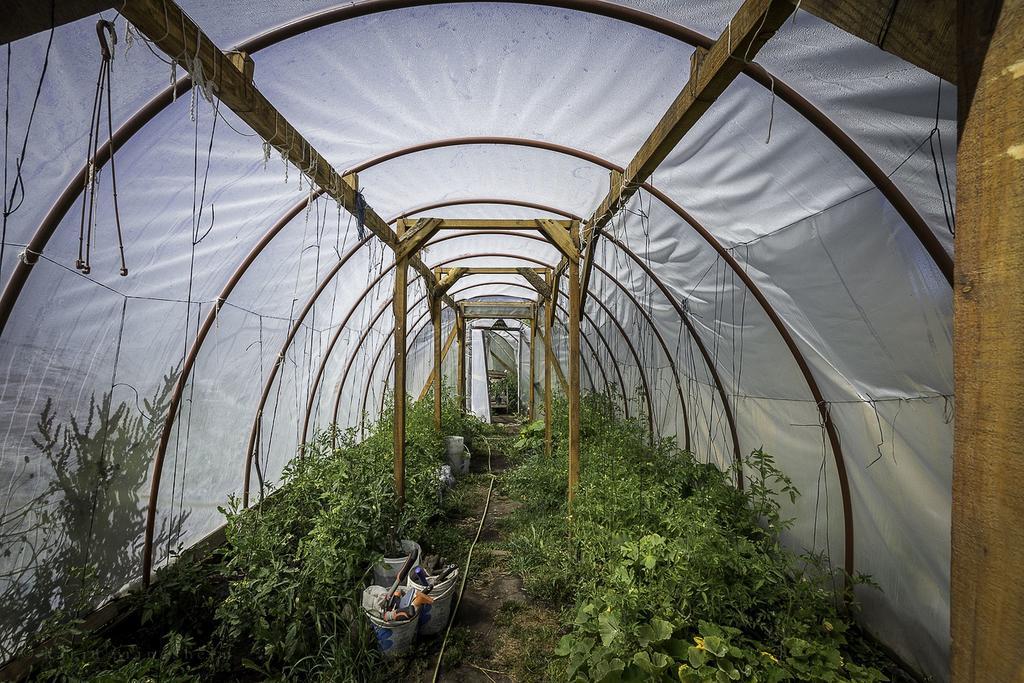 El Bolsón Earthship Patagonia Eco Accommodations المظهر الخارجي الصورة